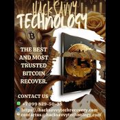 HACK SAVVY TECH TECHNOLOGY - RETRIEVE  STOLEN CRYPTOCURRENCY logo
