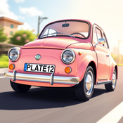 Complete Car Plate Recognition