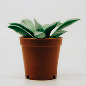 Climate Change Latest News