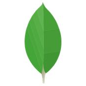 MongoDB API logo