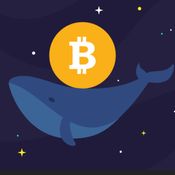 Crypto Whale Transactions