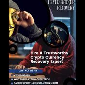 FAYED HACKER: HIRE A CRYPTO RECOVERY SERVICE