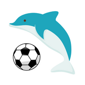Football Dolphin