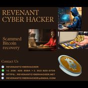 RECOVERY EXPERT FOR HIRE / REVENANT CYBER HACKER  logo