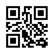 Custom QR Code Generation API