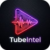 TubeIntel - YouTube Transcript & Video Intelligence logo