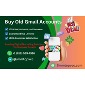 Legal Considerations Before You Buy Old Gmail Accounts logo