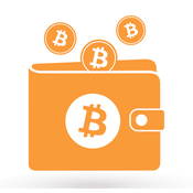 Wallet Portfolio Balance