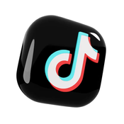 TikTok Get all video by username