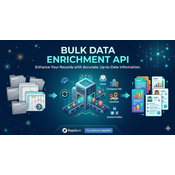 Bulk Data Enrichment API logo