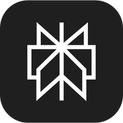 Perplexity AI Analyzer logo