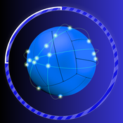 Volleyball Micro logo