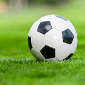 Football Live Scores