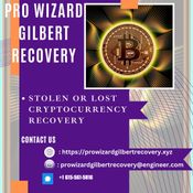 Crypto Recovery Solution – Pro Wizard Gilbert Recovery