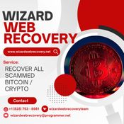 WIZARD WEB RECOVERY CRYPTO ASSET TRACING & RECOVERY logo