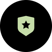 OpenWatch Nigeria Security API logo