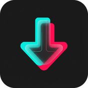 TikTok Video Downloader No Watermark and Fast logo