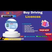 One Of The Best Site To Buy Driving Licences in USA  logo