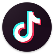 TikTok Downloader - Full Video Without Watermark