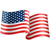 2024 US Presidential Election logo