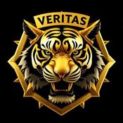 VERITAS Oracle logo