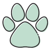 JSM Amazon Data Scraper Panayappan