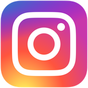 Ultimate Instagram Profile and Posts API logo