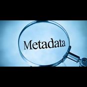 Search Internet Images by Metadata (EXIF/XMP/IPTC) logo