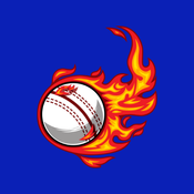 Cricket Live Score API