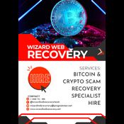 TRUST WIZARD WEB RECOVERY TO RECOVER YOUR STOLEN CRYPTO logo