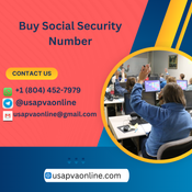 Buy SSN Accounts in Bulk: PVA & Aged Accounts logo