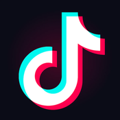 Tiktok Downloader logo