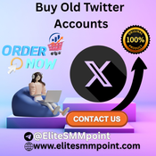 24/7 Instant Access to Buy Old Twitter Accounts  logo