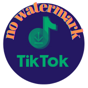 Tiktok Video Downloader