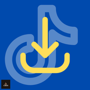 Download TikTok Videos & Slide Images