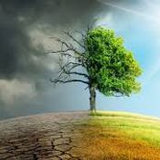 climate-change-news-77