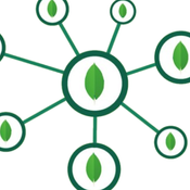 MongoDB SaaS logo
