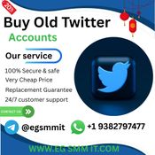 How to Buy Old Twitter Accounts A Complete Guide logo