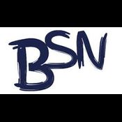 BSN Writing Services logo