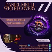 HOW I RECOVERED MY FUNDS THANKS TO DANIEL MEULI WEB RECOVERY logo