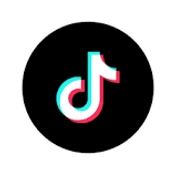 TikTok Web Algorithms logo