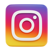 Instagram Pro Downloader logo