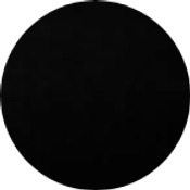 r-sanedata logo
