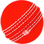 Cricket News API