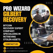 The Extraordinary Services of Pro Wizard Gilbert Recovery logo