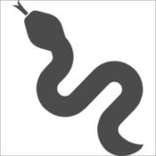 RIIA_Real Estate Impact logo