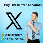 The Best Sites to Buy Old Twitter Accounts in the USA   logo