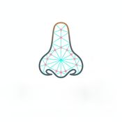 Nose Shape Detection API logo