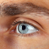 FaceCheck Search by Face