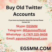 Buy Old Twitter Accounts logo